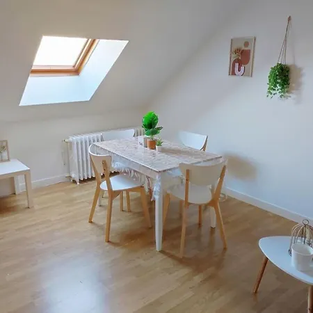 Paisible Duplex Au Centre-ville ルマン