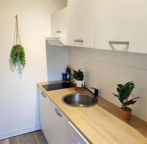 Paisible Duplex Au Centre-ville Lägenhet *