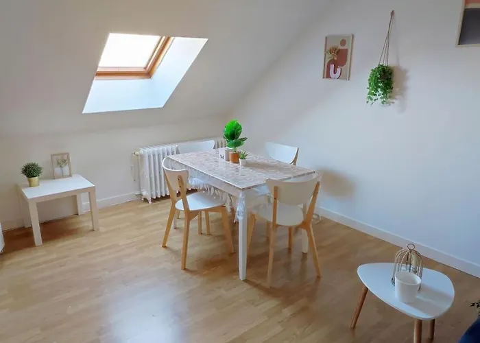 Paisible Duplex Au Centre-ville Le Mans